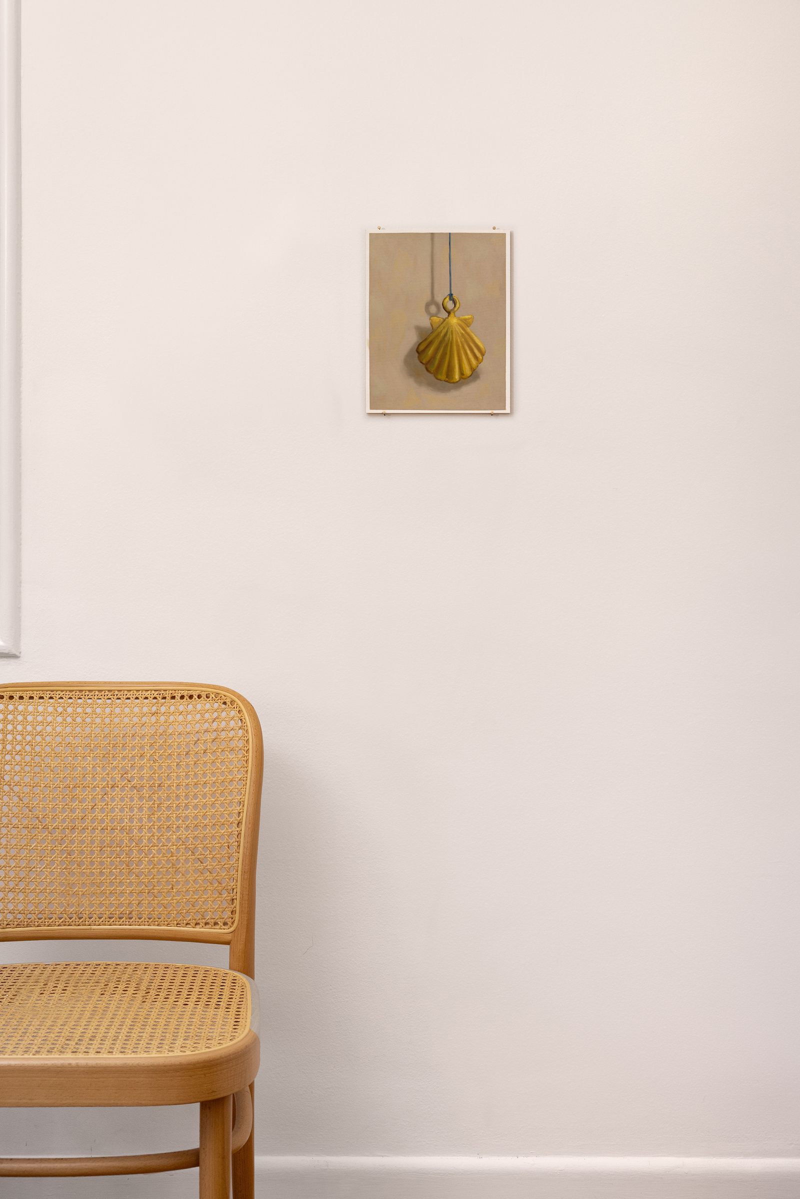 Shell Study 4 - Installation View, by John Houck