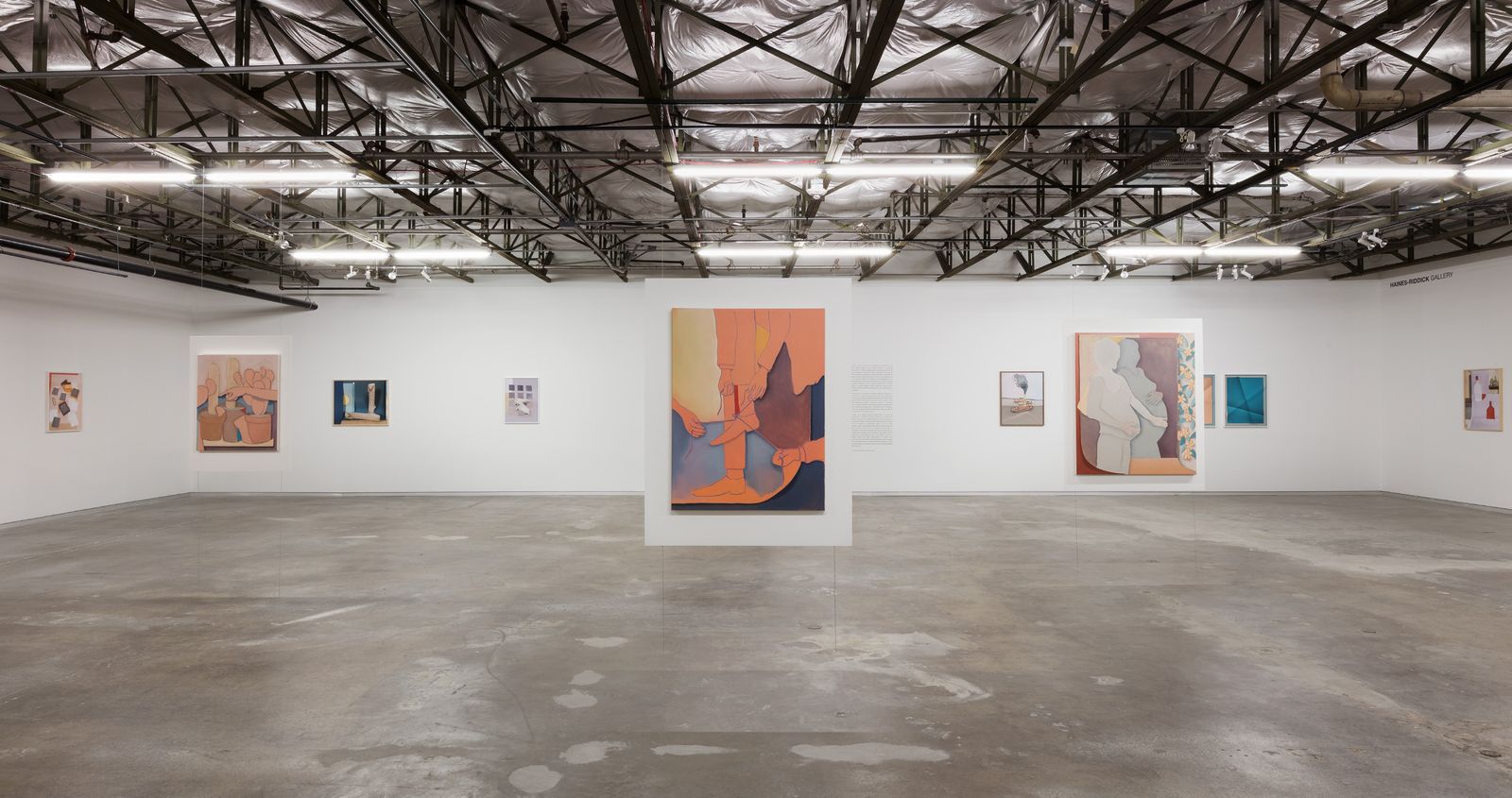 Installation view, The Anthologist, Dallas Contemporary, Dallas, TX, by John Houck